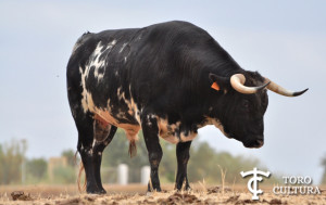 Toro de Los Millares (Espantalobos)