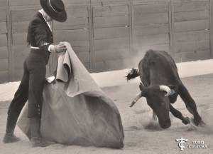 toro