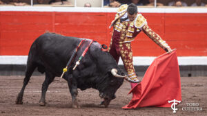 Manzanares en Bilbao