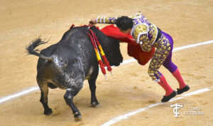 Joselito y Triunfador