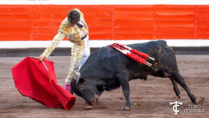Andoni Verdejo Memorial Ivan Fandiño Bilbao