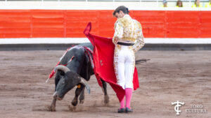 Andoni Verdejo Memorial Ivan Fandiño Bilbao