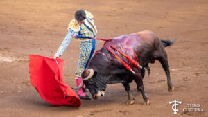 Cayetano Rivera Santander 2023