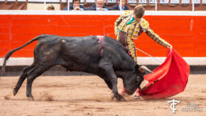 Javier Zulueta II Memorial Iván Fandiño de Bilbao