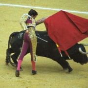 Tomás Rufo