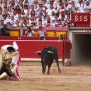 Manuel Escribano