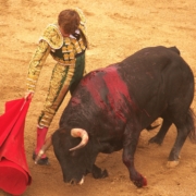 Álvaro Serrano