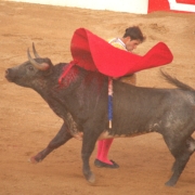 Samuel Navalón
