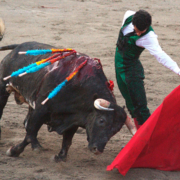 Morenito de Aranda