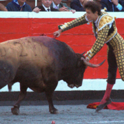 Roca Rey