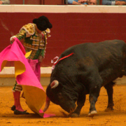 Diego Urdiales